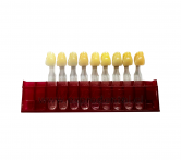 Muestrario Colores Dientes  Marche